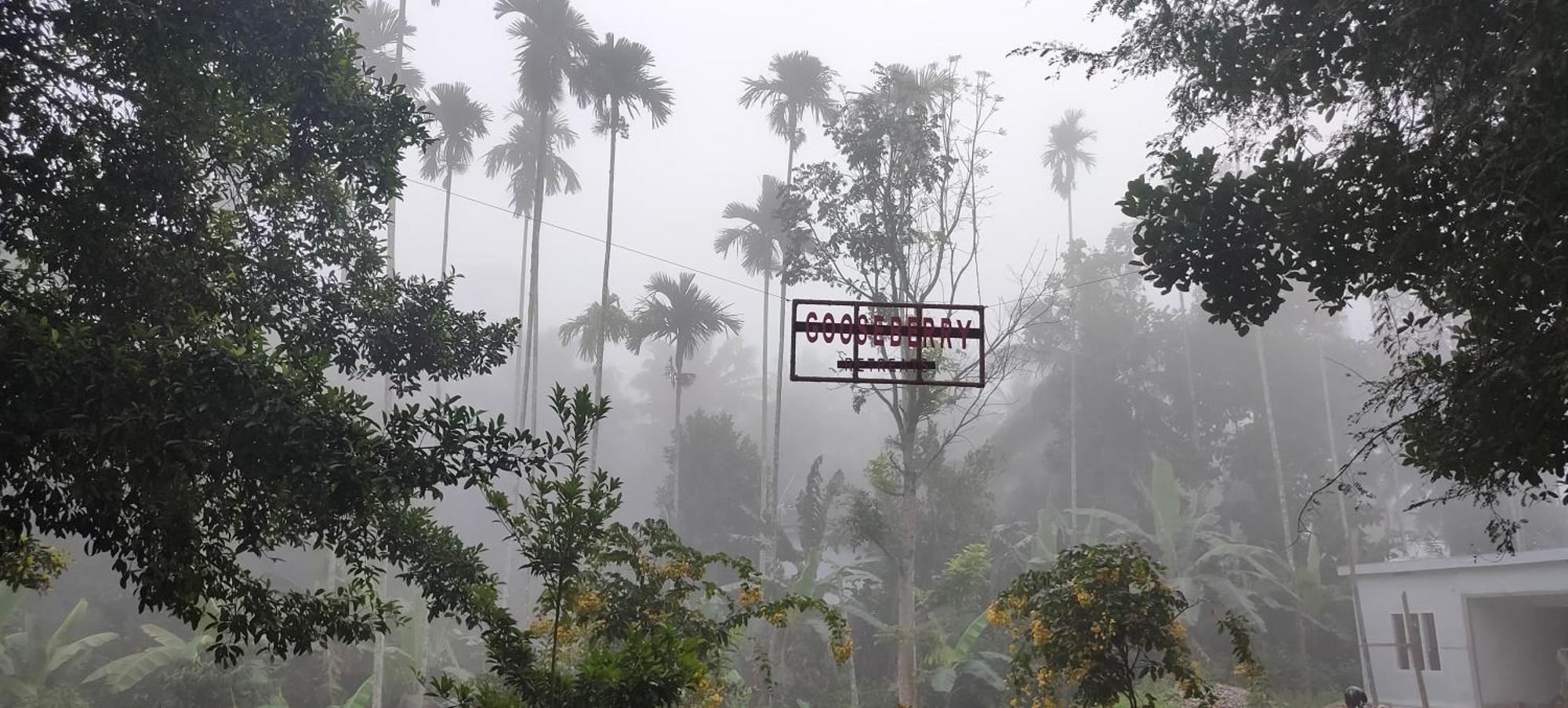 Gooseberry Family Retreats - Wayanad By Karapuzha Resorts Meenangadi ภายนอก รูปภาพ